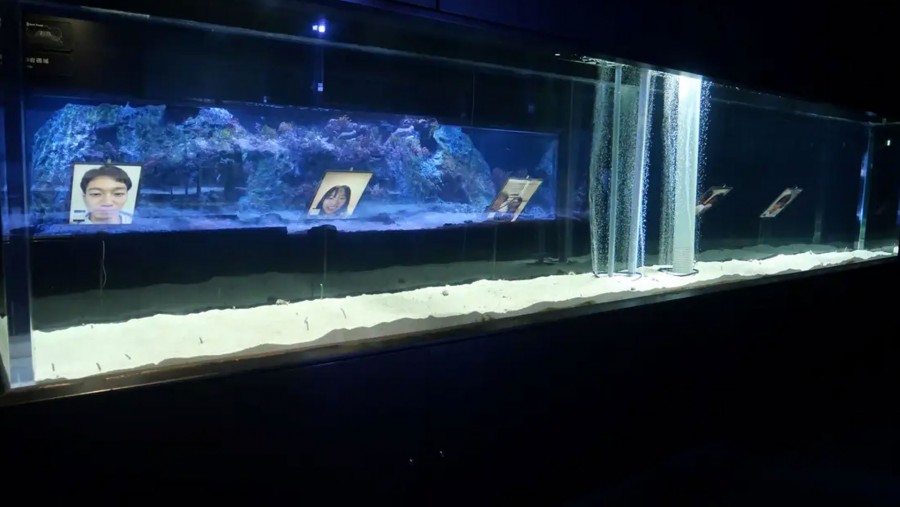 Video Searchable Aquarium in Japan